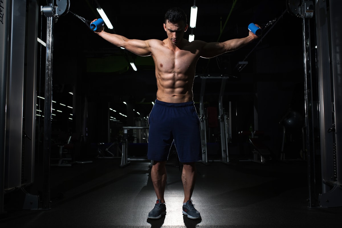 How creatine works in muscles